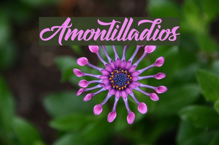 Amontilladios Font examples