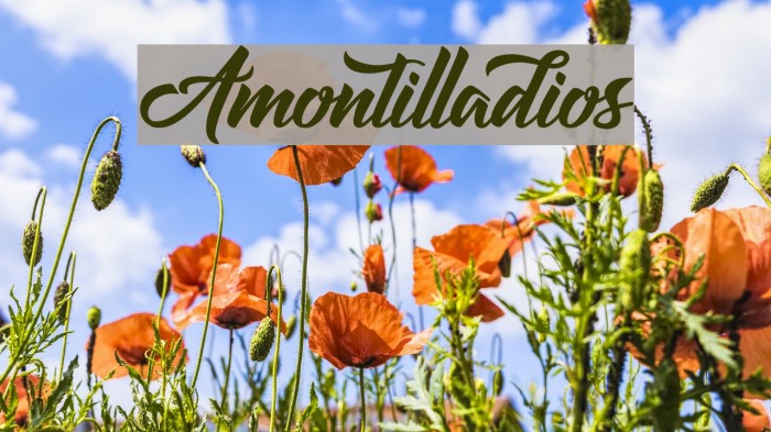 Amontilladios Font examples