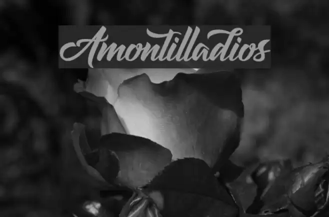 Amontilladios Font examples