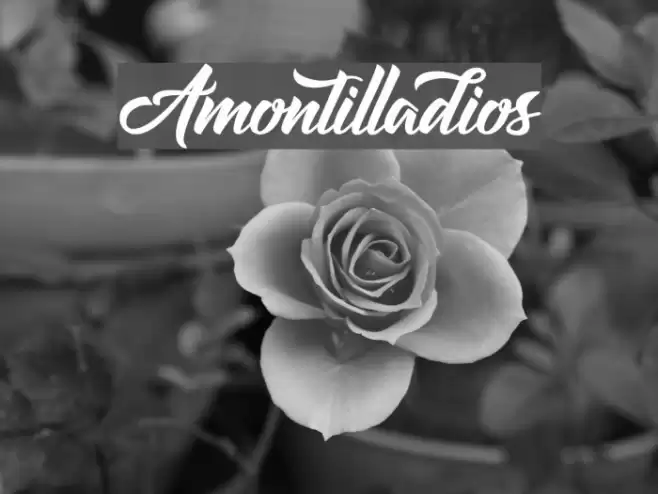 Amontilladios Font examples