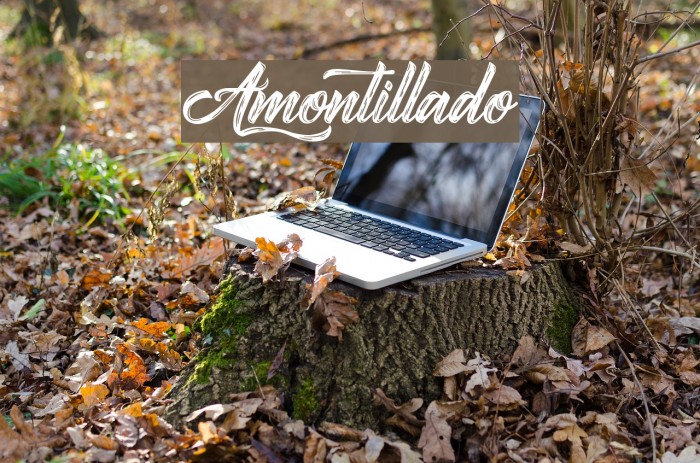 Amontillado Шрифта examples