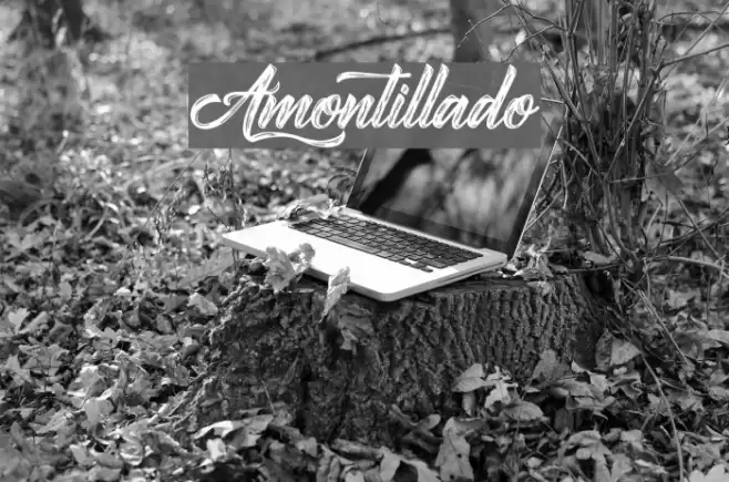 Amontillado Font examples