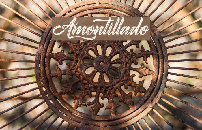 Amontillado Шрифта examples