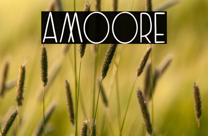 Amoore Example 2