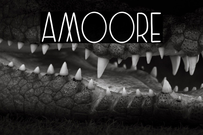 Amoore Example 3