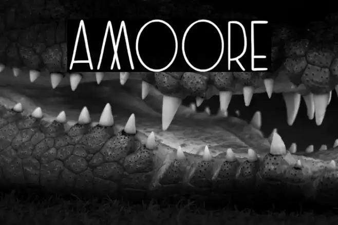Amoore Font examples
