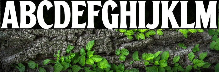 Amor Granada Example 3