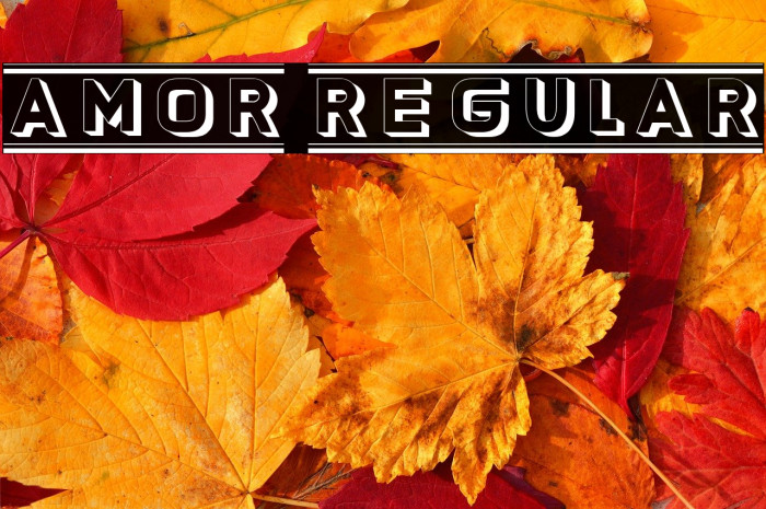 Amor Regular Example 1