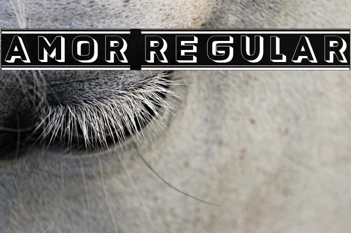 Amor Regular Example 2