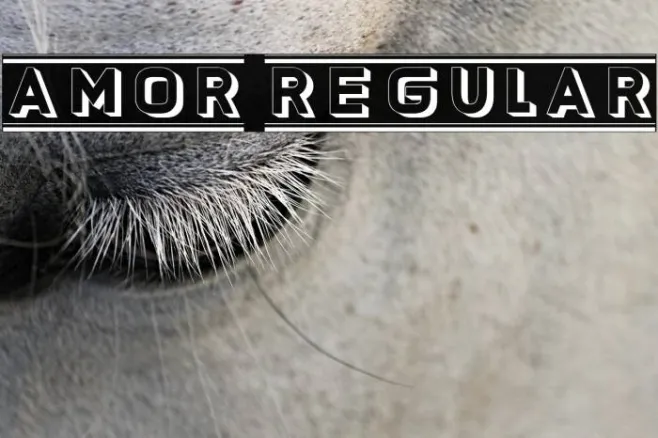 Amor Regular Example 2