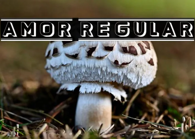 Amor Regular Example 3