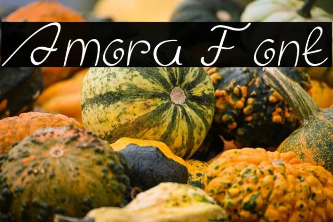Amora Example 3