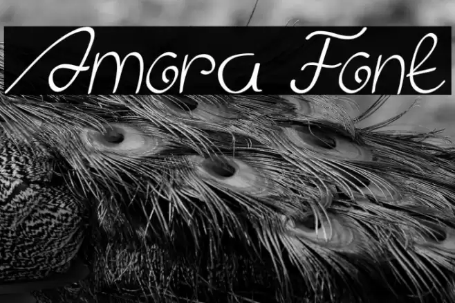 Amora Font examples