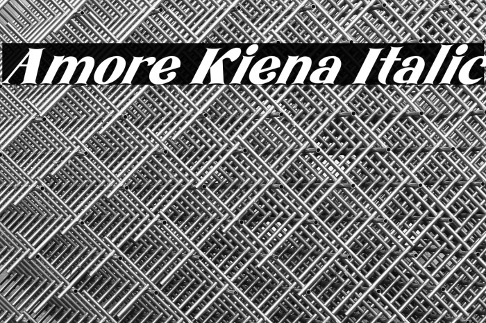 Amore Kiena Italic Example 3