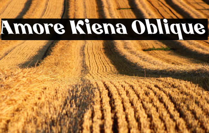 Amore Kiena Oblique Example 1
