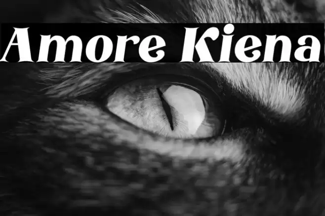 Amore Kiena Font examples