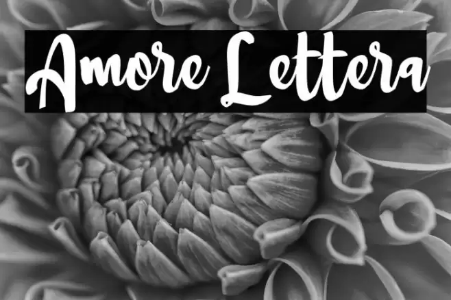 Amore Lettera Font examples