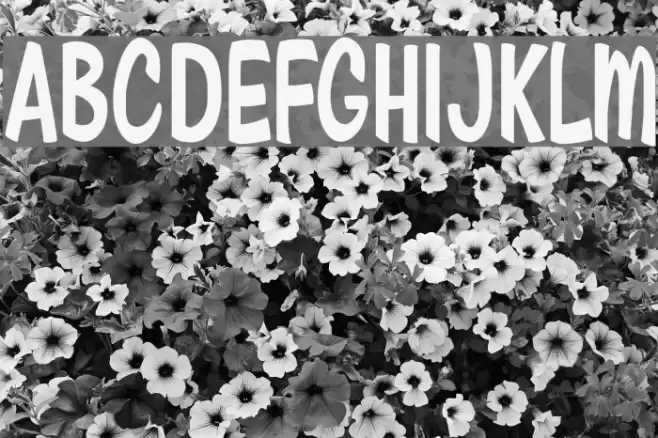 Amore Mio Personal Use  Font examples