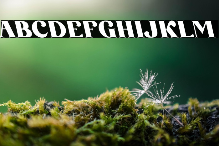 AmoreKiena-Oblique Example 1