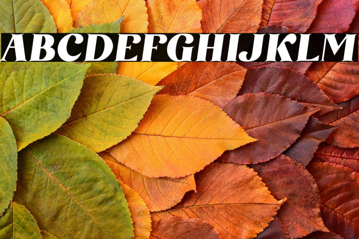 AmoreKiena Example 2