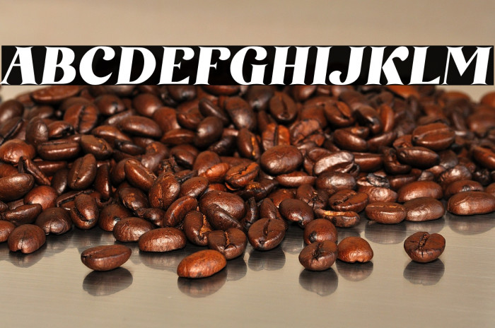 AmoreKiena Example 3