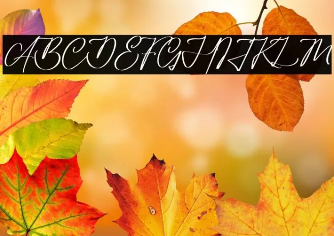 Amorillan Orgendam Example 2