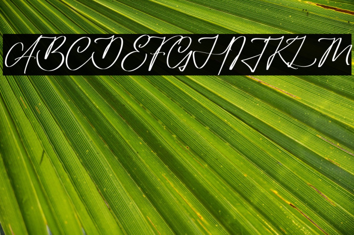 Amorillan Orgendam Example 3