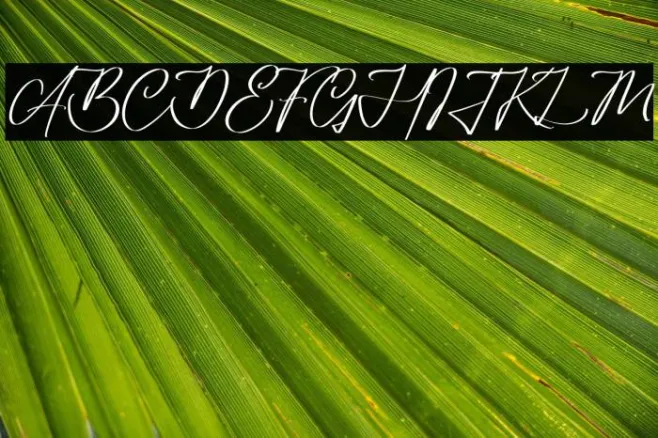 Amorillan Orgendam Example 3