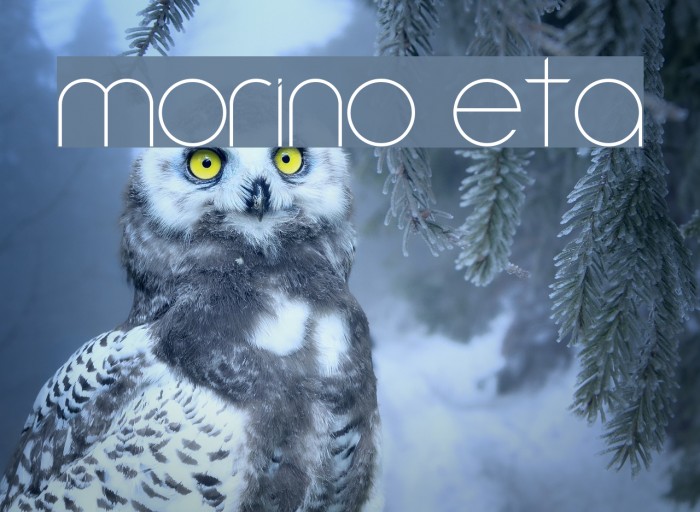 Amorino Beta Font examples