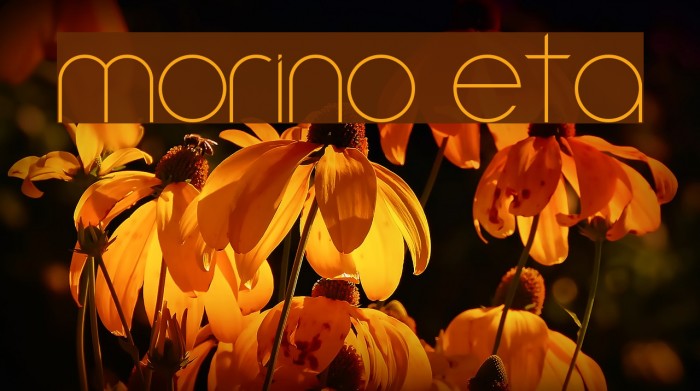 Amorino Beta Font examples