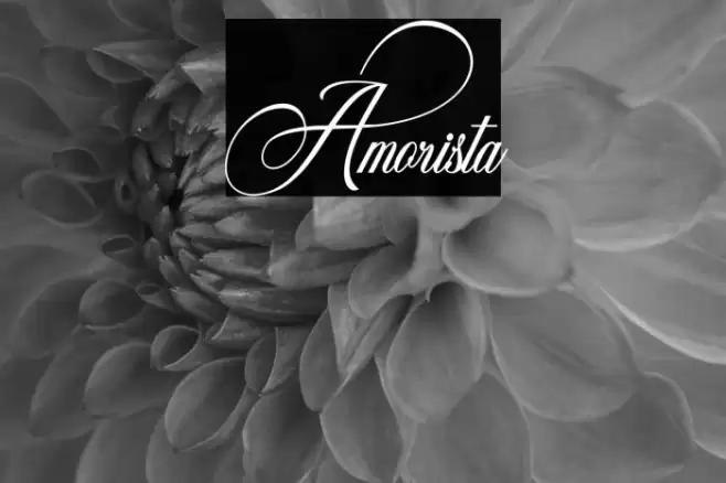 Amorista Font examples