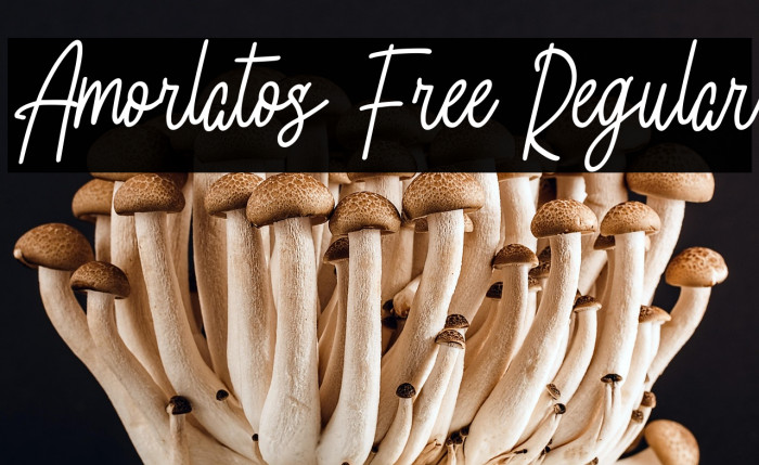 Amorlatos Free Regular Example 1