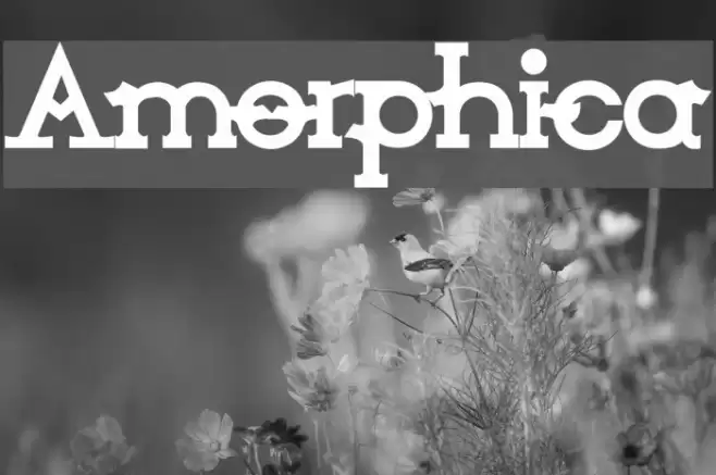 Amorphica Font examples