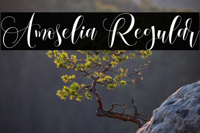 Amoselia Regular Example 1