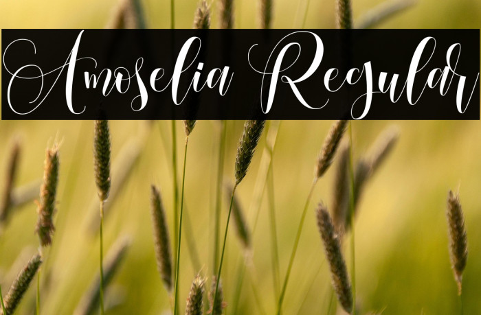 Amoselia Regular Example 3