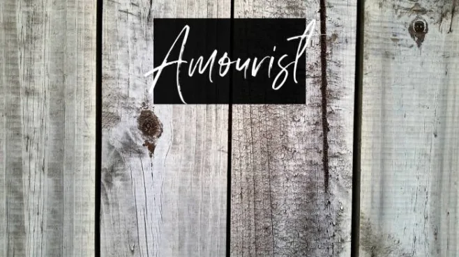 Amourist Example 2