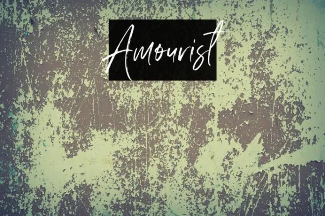Amourist Example 3