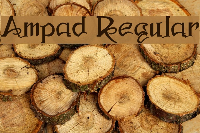 Ampad Regular Font examples