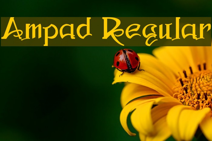 Ampad Regular Font examples