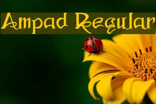 Ampad Regular Example 2