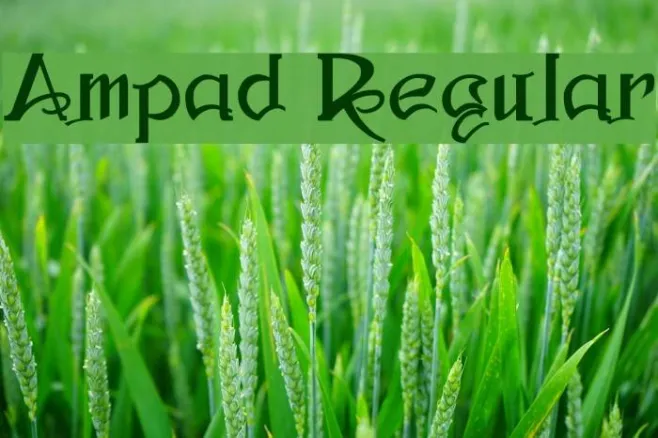 Ampad Regular Example 3