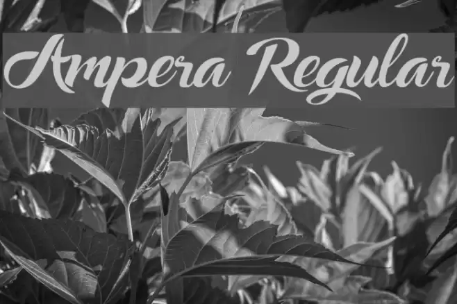 Ampera Regular フォント examples