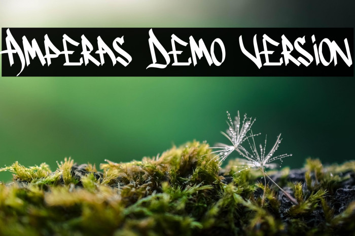 Amperas Demo Version Example 3