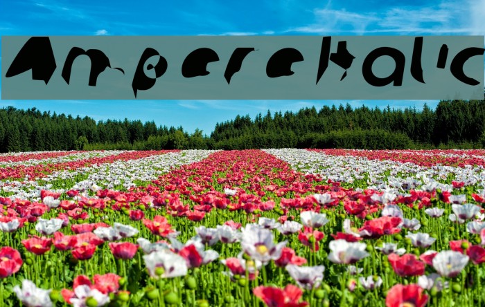 Ampere Italic Example 2