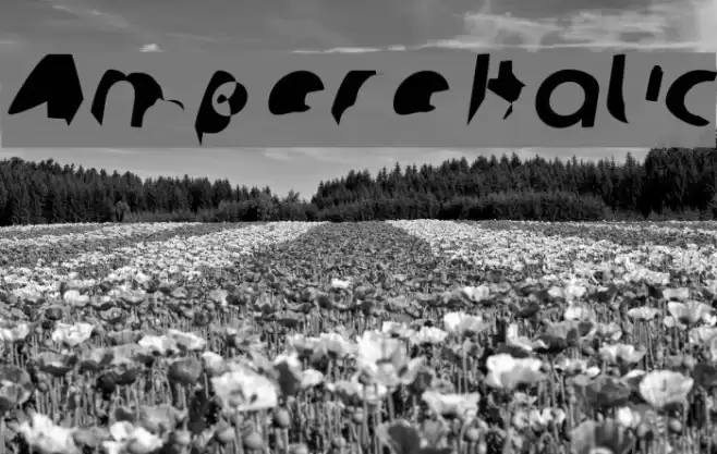 Ampere Italic Font examples