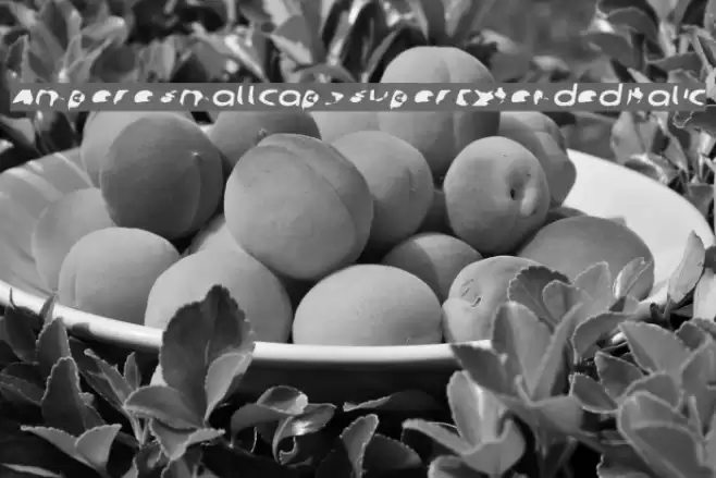 Ampere SmallCaps SuperExtended Italic फ़ॉन्ट examples