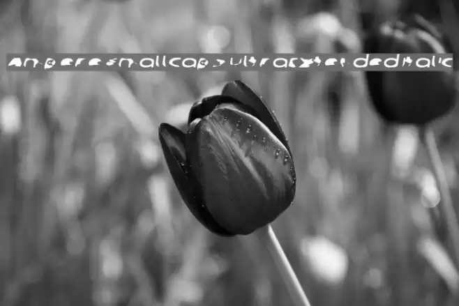 Ampere SmallCaps UltraExtended Italic Font examples