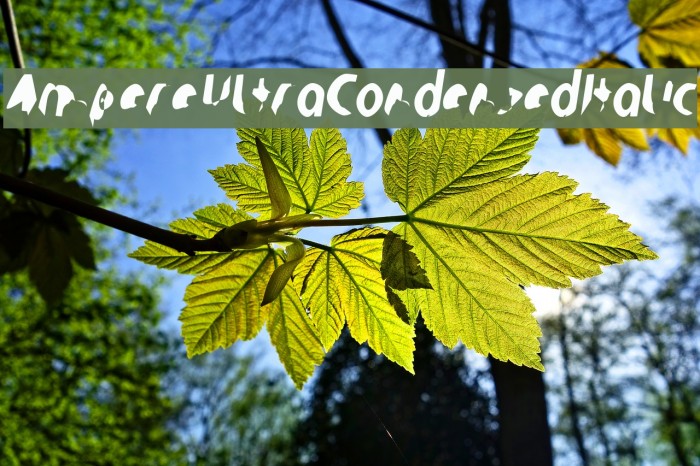 Ampere UltraCondensed Italic Example 1