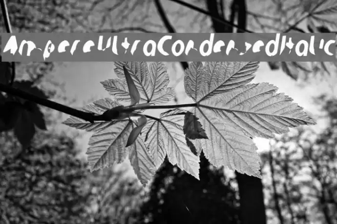 Ampere UltraCondensed Italic Font examples