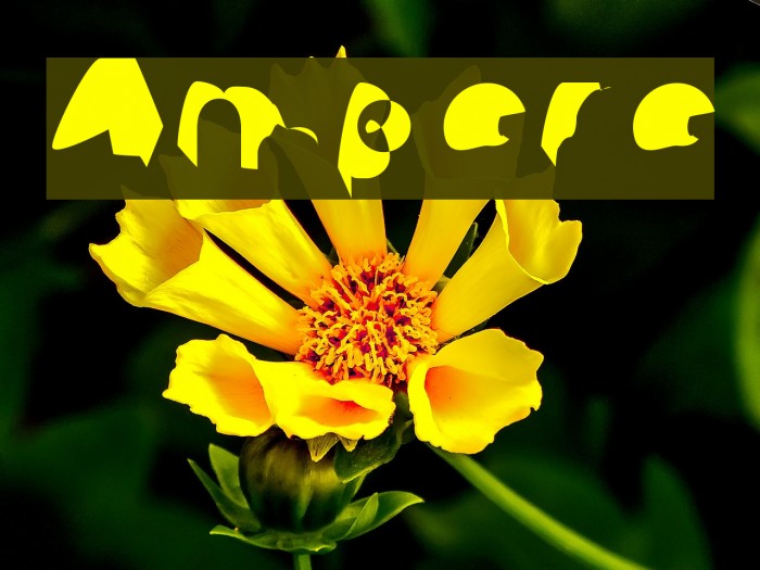 Ampere Шрифта examples